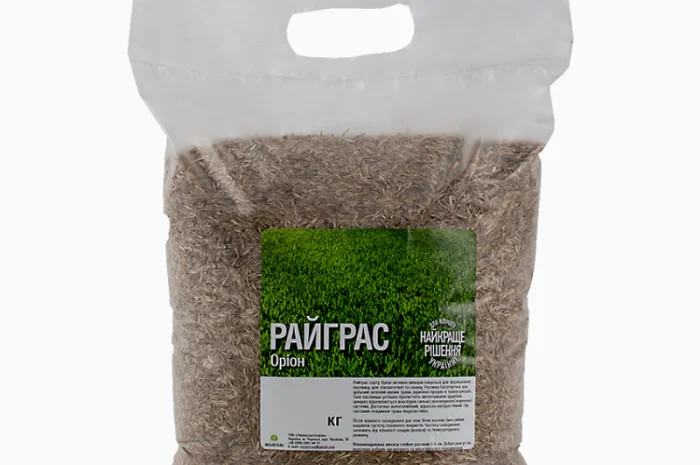 Райграс газонний сорт Оріон від 1 кг- фото № 2