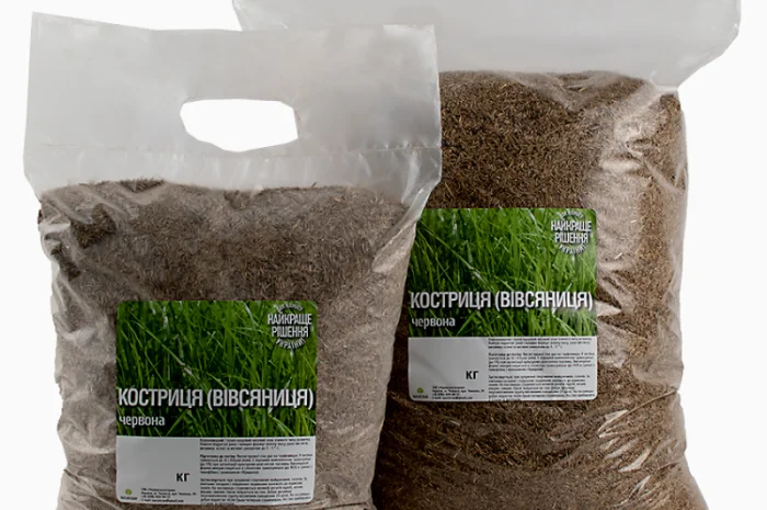 Вівсянниця (костриця) червона купити від 1кг- фото № 1