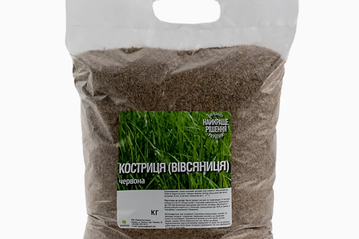 Вівсянниця (костриця) червона купити від 1кг- фото № 2