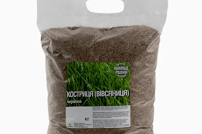 Вівсянниця (костриця) червона купити від 1кг- фото № 2