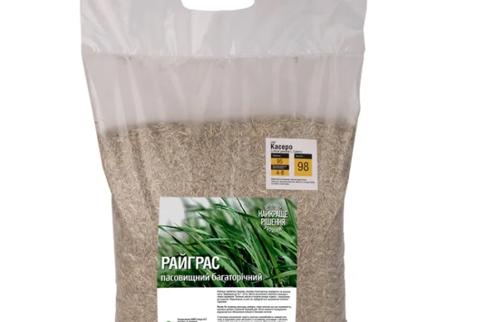 Райграс Литовський пасовищний Касеро 1 кг- фото № 1