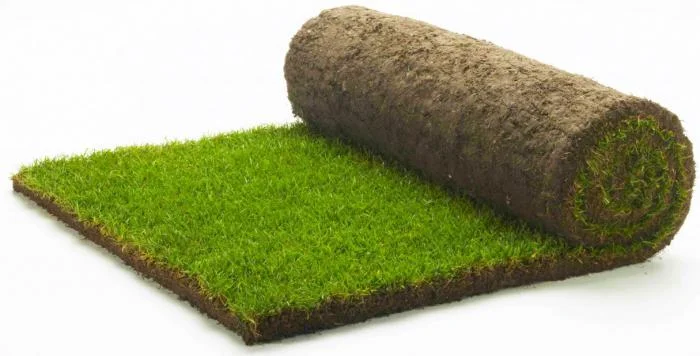 Предлагаем продажу с доставкой и разгрузкой и укладкой качественный Рулонный газон "- фото № 4