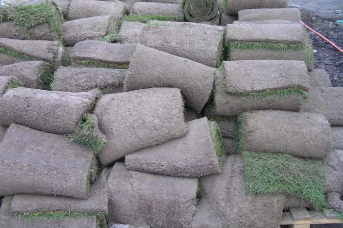 Предлагаем продажу с доставкой и разгрузкой и укладкой качественный Рулонный газон "- фото № 8