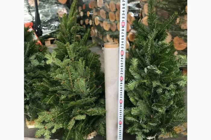 Продам новогодние елки ручной работы, пихта, ель, наборная- фото № 1