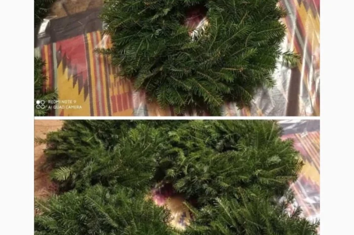 Продам новогодний венок, ель, пихта, экибана- фото № 1