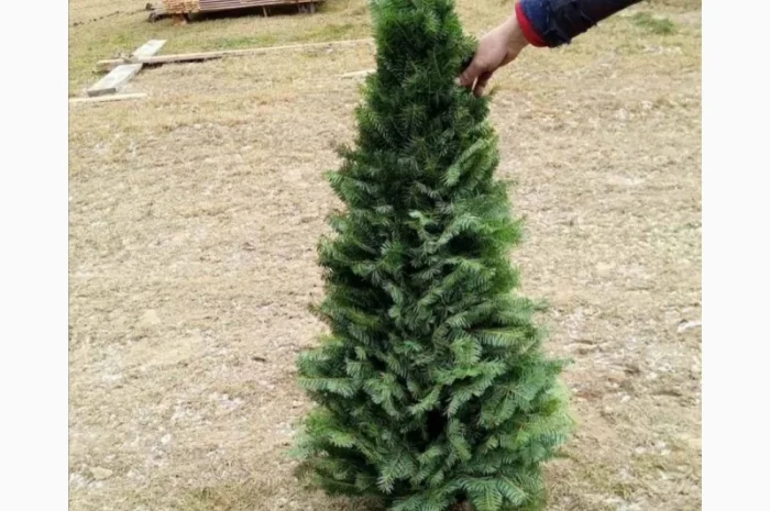 Продам новогодний венок, ель, пихта, экибана- фото № 3