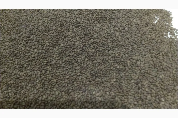 Семена люцерны Вера, Надежда - 1 репродукция (намагниченная)- фото № 1