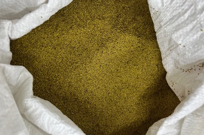 Люцерна не магнічена- фото № 2