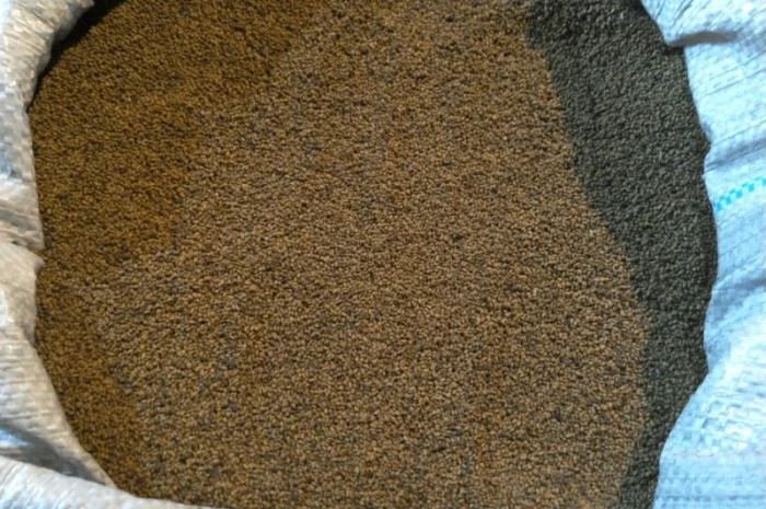 Куплю семена Люцерны всех сортов- фото № 1