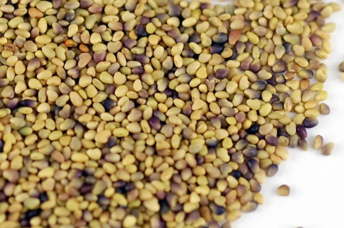 Продається клевер червоний по 25 кг- фото № 1