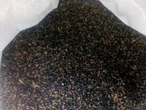 Семена суданской травы сорта Днепровская 54 элита 1 репродукция- фото № 1