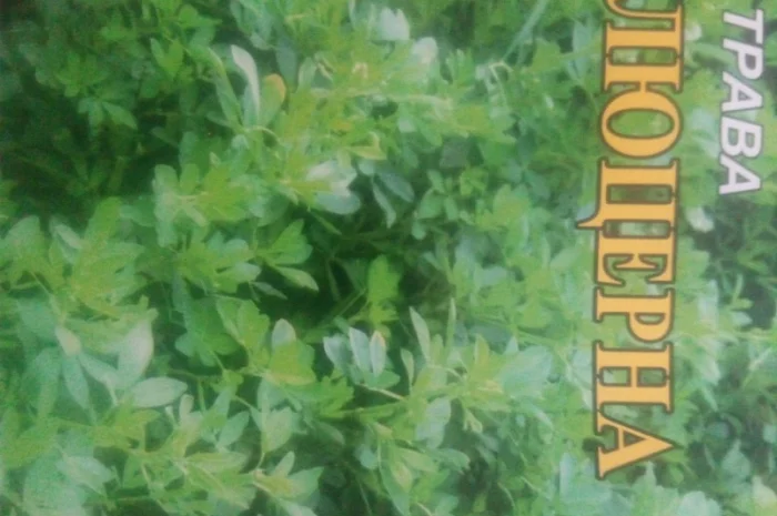 Семена люцерни - якісні для вашого господарства- фото № 2