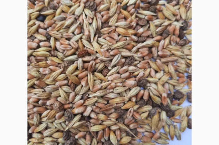 Відходи еспарцету (після очистки)- фото № 1