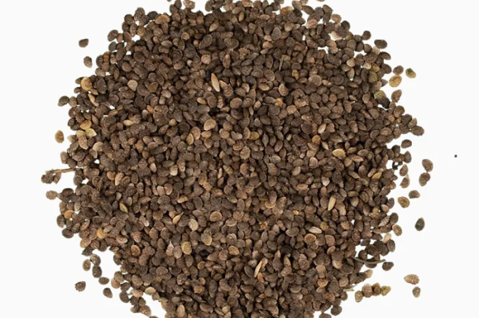 Продам Еспарцет 1 кг медонос- фото № 2