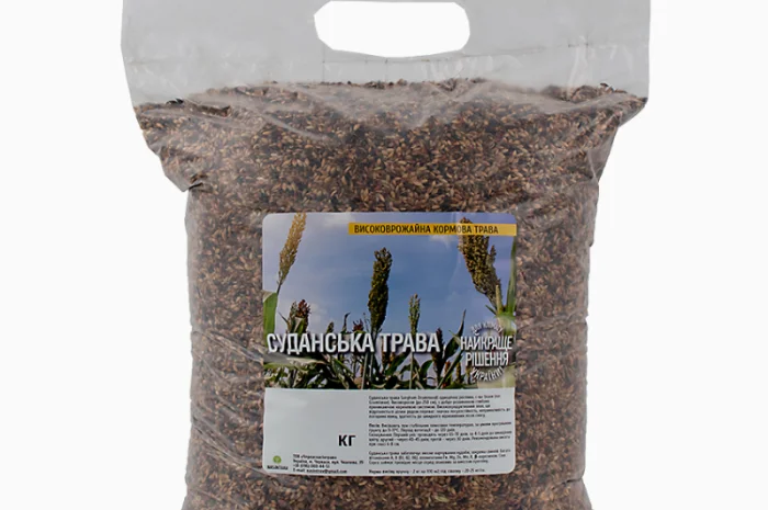 Суданська трава продам від 1кг- фото № 2