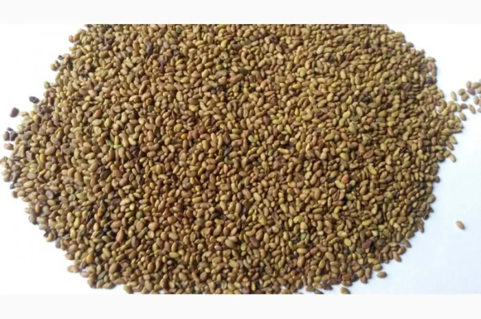 Насіння люцерни сорту "Банат" 1 кг- фото № 1