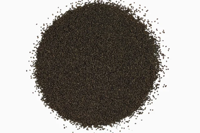 Конюшина лучна- фото № 2