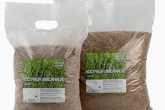 Вівсянниця (костриця) лучна продам від 1кг- фото № 1
