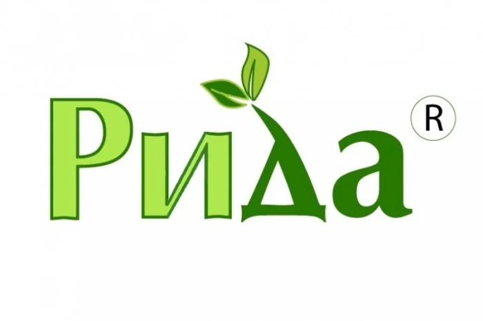 Насіння конюшини (клевера)- фото № 2