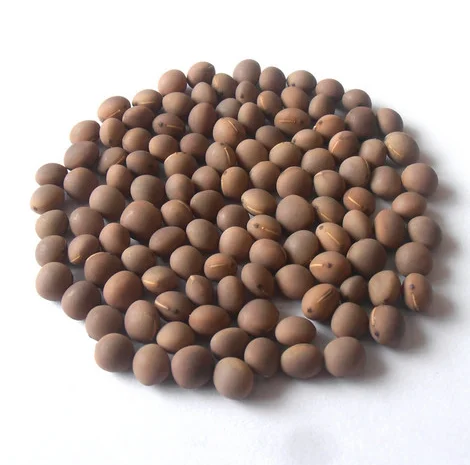 Семена Вики- фото № 1