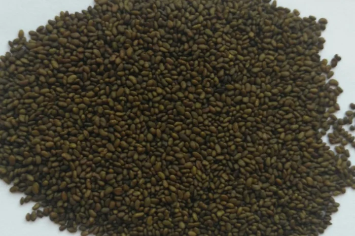 Семена Люцерну куплю- фото № 1