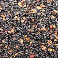 Суданка насіння- фото № 2