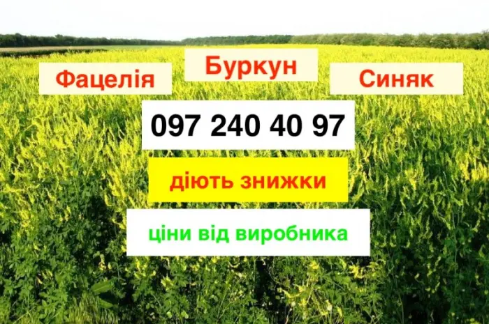 Продам Буркун по самой низкой цене от производителя 60 грн/кг (опт)- фото № 1