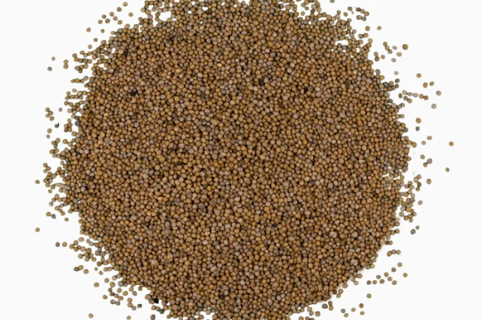 Гірчиця біла від 1 кг- фото № 3