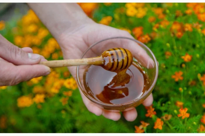 Суміш медоносів однорічна- фото № 1