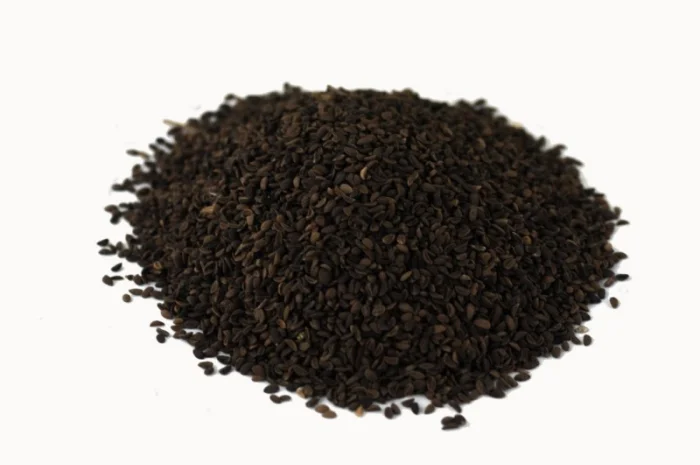 Насіння фацелії продам роздріб від 1кг- фото № 1