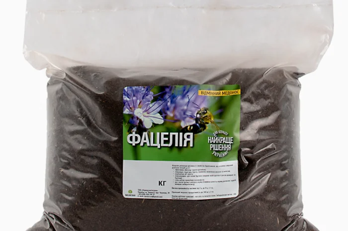 Насіння фацелії продам роздріб від 1кг- фото № 2