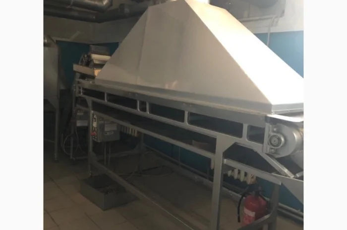 Линия по производству жареных семечек- фото № 3