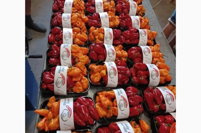 Пакувальна машина- фото № 3