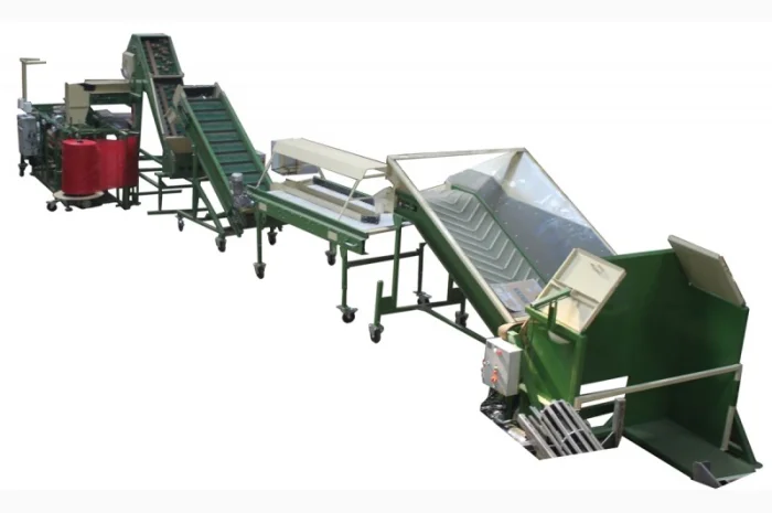 Линия сортировки, фасовки, упаковки картофеля, овощей, моркови, лука, свеклы, фруктов- фото № 3