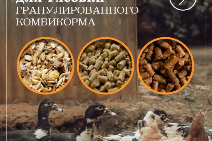 Линия фасовки в мешки 10-50 кг- фото № 3