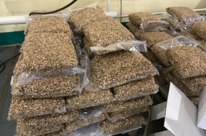 Вакуумная упаковочная машина однокамерная YOUNGSUN YS-DQ-500D- фото № 3