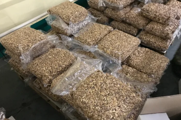 Вакуумная упаковочная машина однокамерная YOUNGSUN YS-DQ-500D- фото № 2