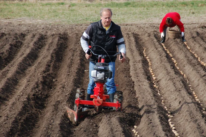 Мини–трактор VARI IV GLOBAL- фото № 5