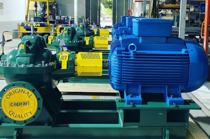 Насосы двустороннего входа Caprari SCC для орошения- фото № 3