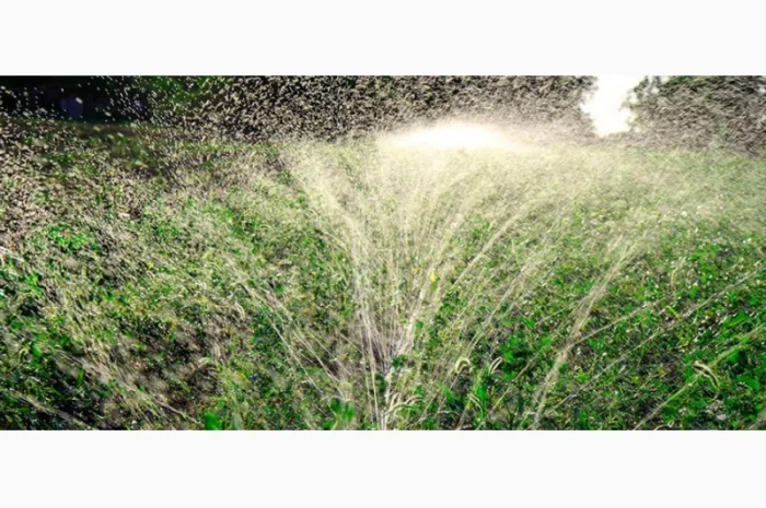 Шланг Туман, Голден Спрей (Golden spray) Капельный полив Капельная лента- фото № 12