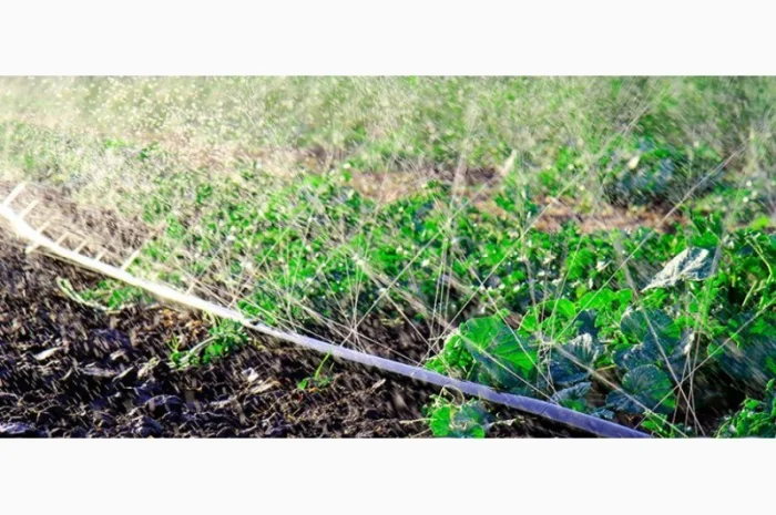 Шланг Туман, Голден Спрей (Golden spray) Капельный полив Капельная лента- фото № 11