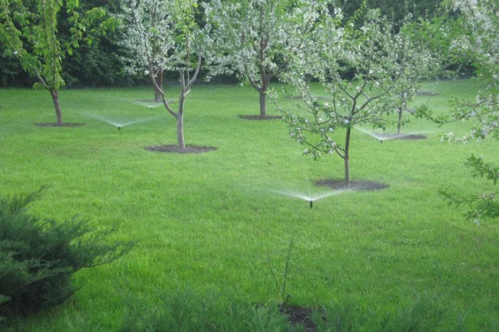 Автоматичні системи поливу З РОЗУМОМ- фото № 2