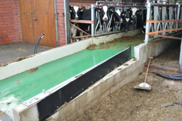 Транспортер для кормового столу для подачі корму для годівлі ВРХ- фото № 1