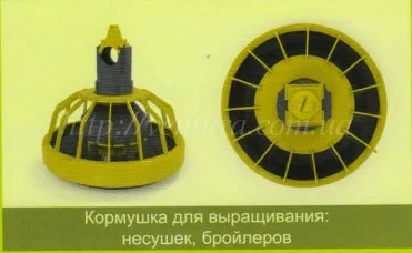 Линия кормления Италия- фото № 2