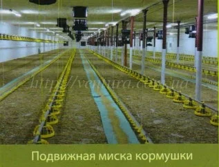 Линия кормления Италия- фото № 5