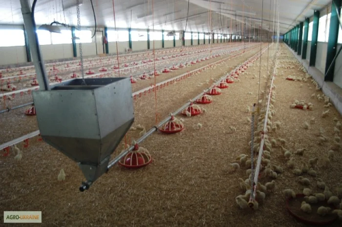 Продам оборудование для напольного выращивания бройлеров- фото № 1