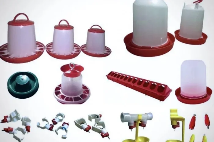 Годування, поїння та інкубація курей, перепілок, качок, гусей, страусів, фазанів- фото № 1