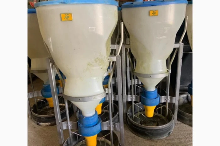 Кормовий автомат для свиней AP-swing- фото № 3