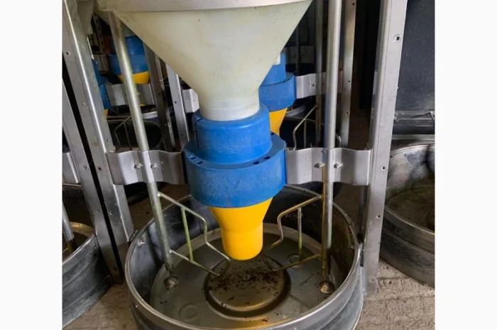 Кормовий автомат для свиней AP-swing- фото № 4