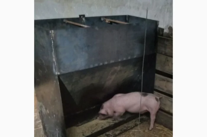 Кормушка бункер для свиней- фото № 1